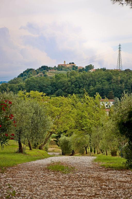 Podere Lo Stringaio Fauglia Szoba fotó