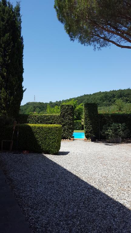 Podere Lo Stringaio Fauglia Kültér fotó