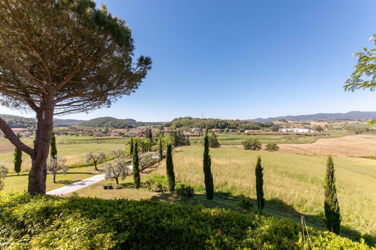 Podere Lo Stringaio Fauglia Kültér fotó
